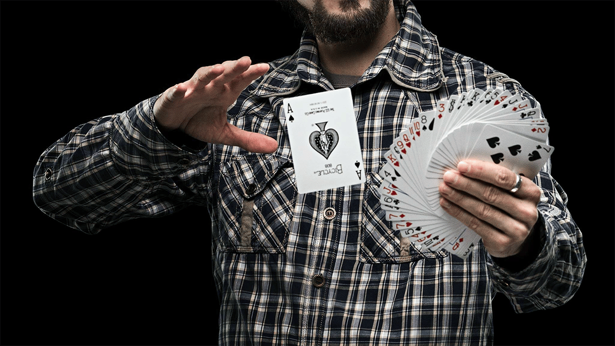 You Can Do Magic - Udacity - Career Path