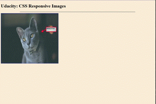 resize image css sample image showing how an image that does not resize with changes to the window.