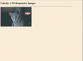 The responsive image work can be seen in this example for the resize image css blog.